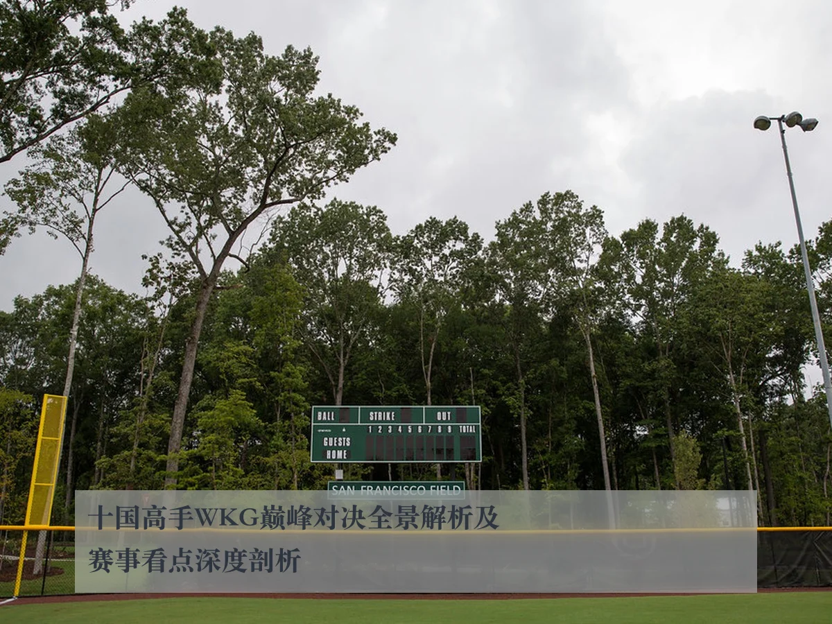 十国高手WKG巅峰对决全景解析及赛事看点深度剖析